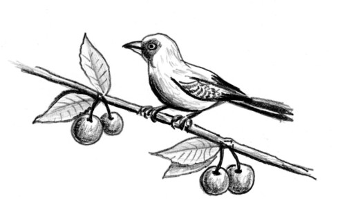 dokler ta miga knjiga zalozba 5ka