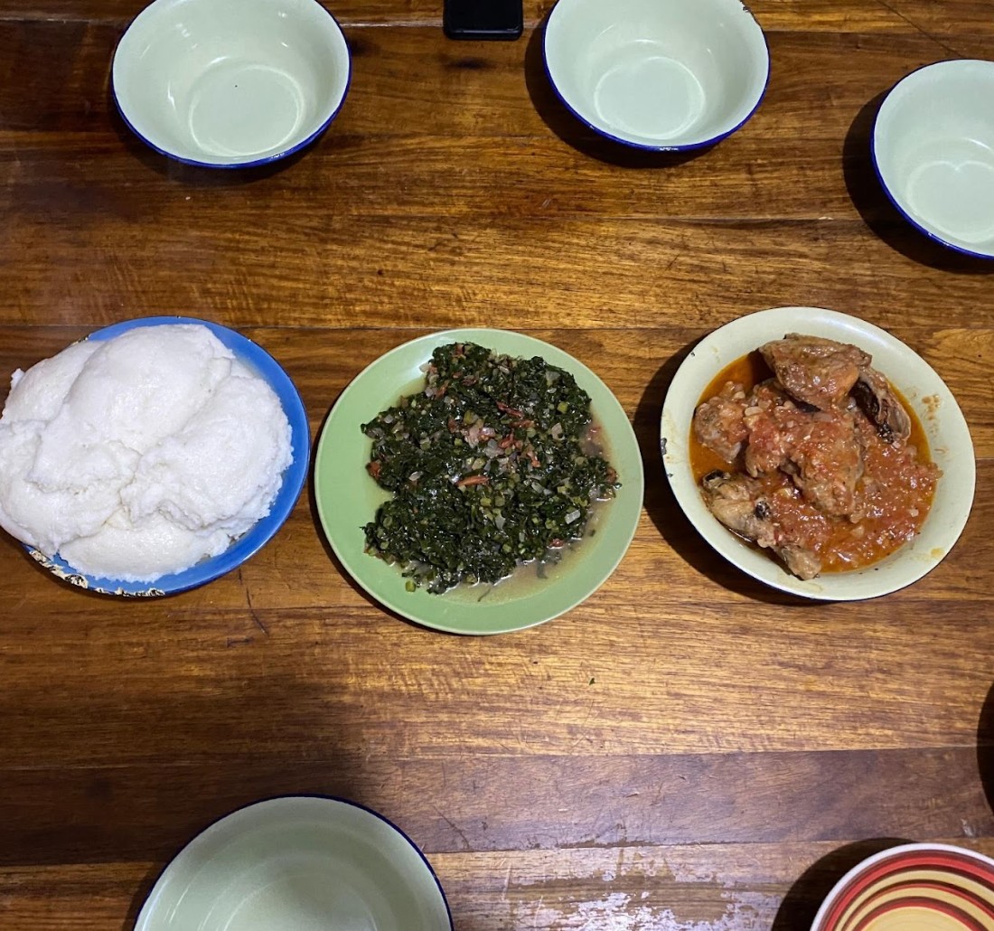 slike anamarija mihovec utrip zambije skozi stetoskop 5ka 8