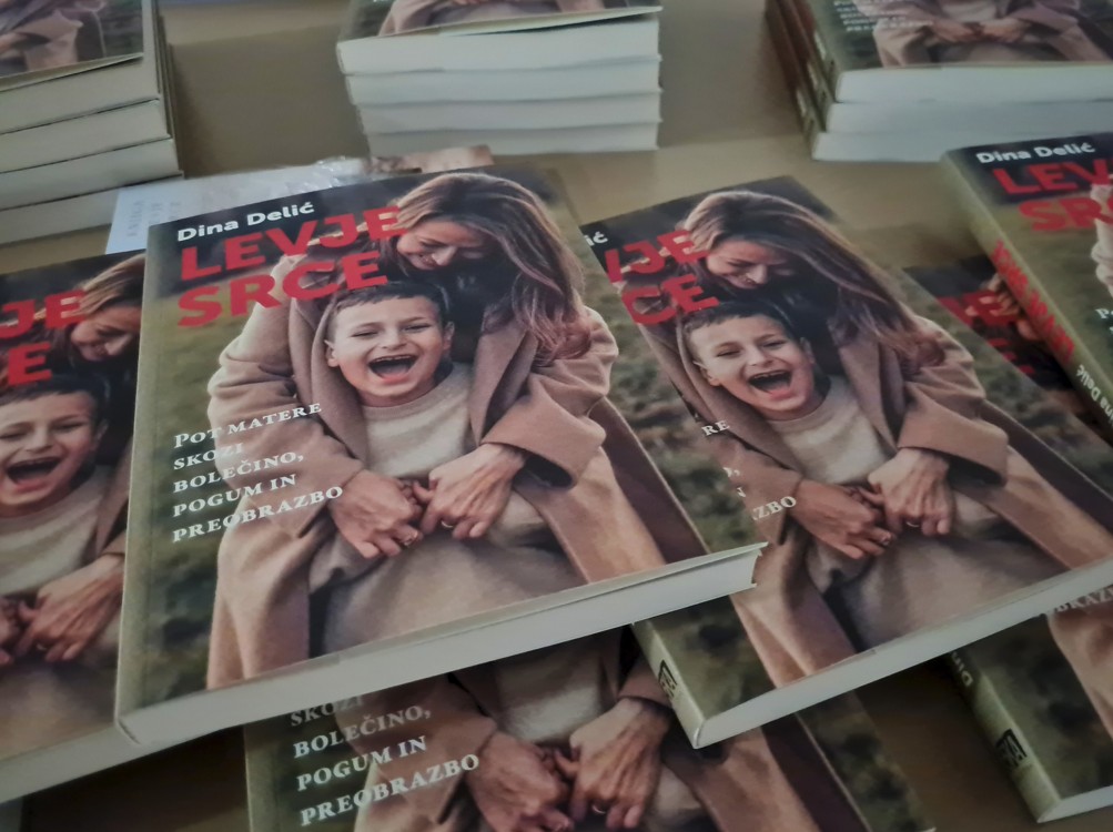 knjiga levje srce dina delic 6